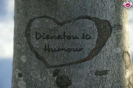 dienatou
